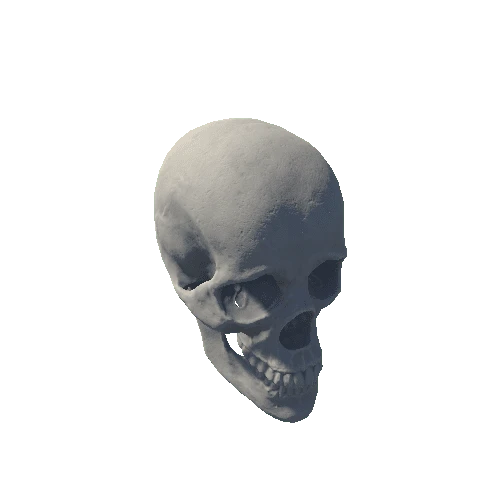 base_mesh_skull 4